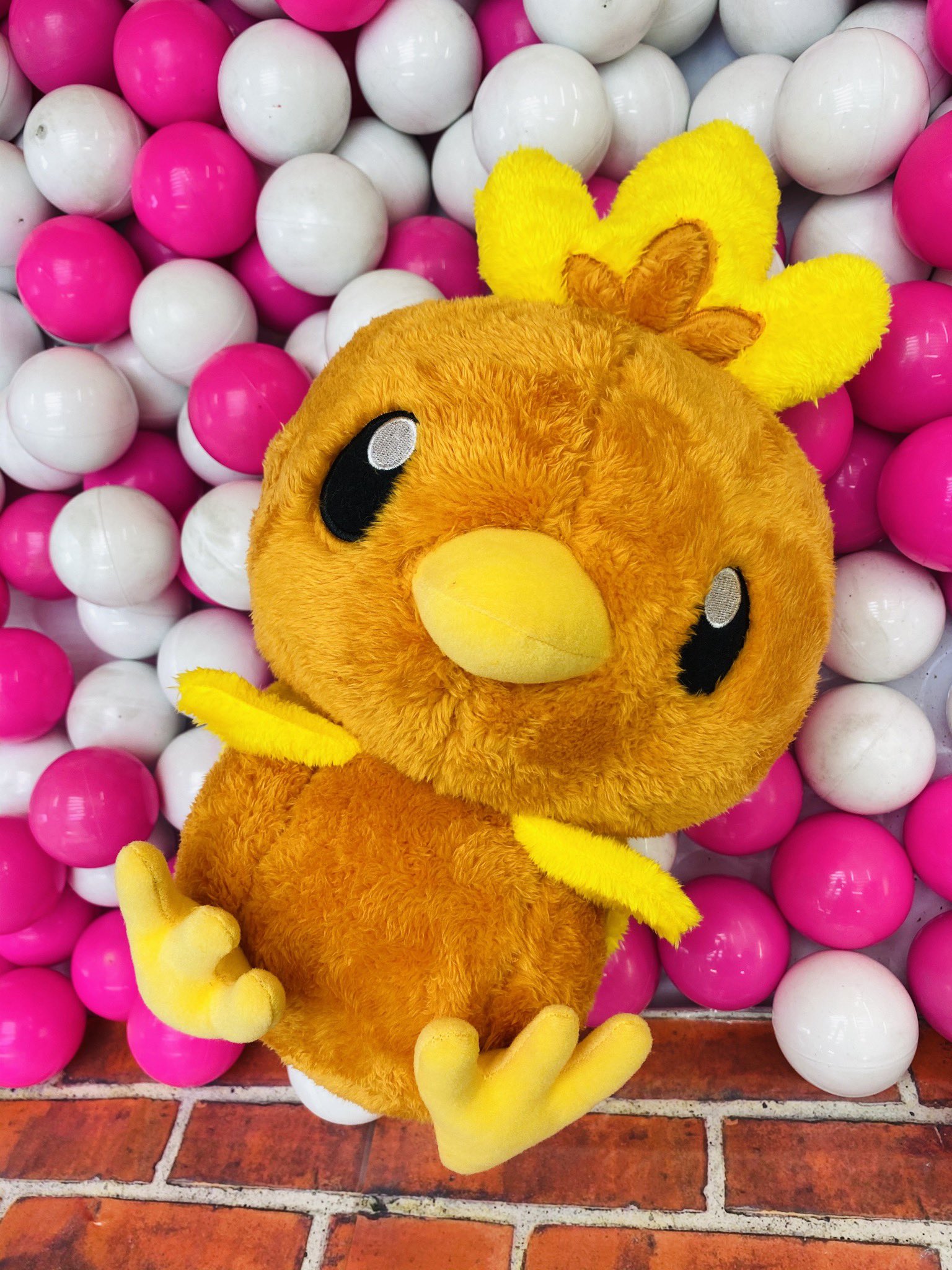 ドラマ下北沢 プライズ専門店 Pa Twitter ポケモン アチャモ Bigぬいぐるみ 本日入荷 アチャモ ポケモン バンプレスト 下北沢 ゲーセン ドラマ下北沢 プライズ専門店 Pa Twitter ポケモン アチャモ Bigぬいぐるみ 本日入荷 アチャモ ポケモン バンプレスト 下北沢 ゲーセン