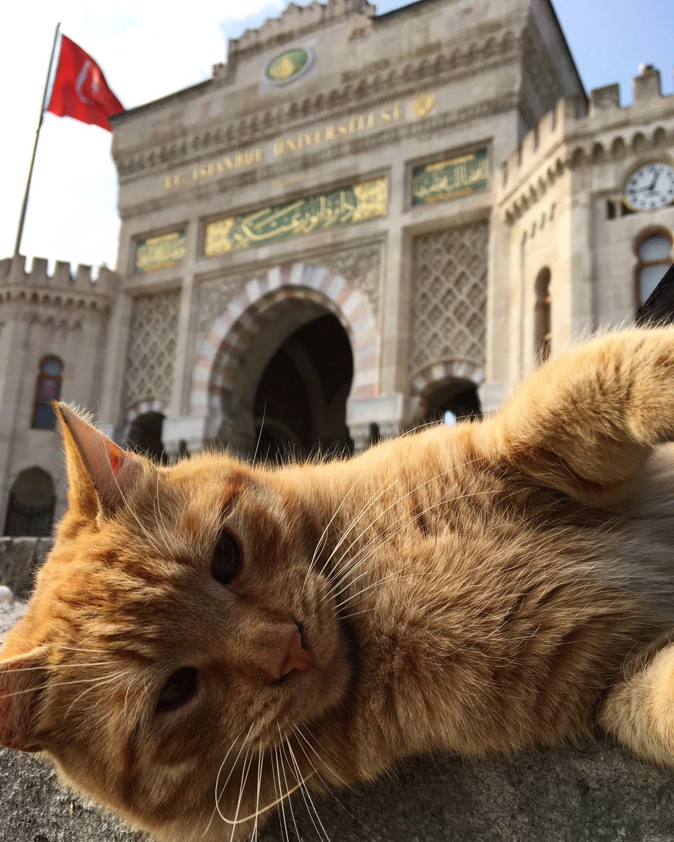 Ben de özledim ben de... 

#istanbulüniversiteliolmak