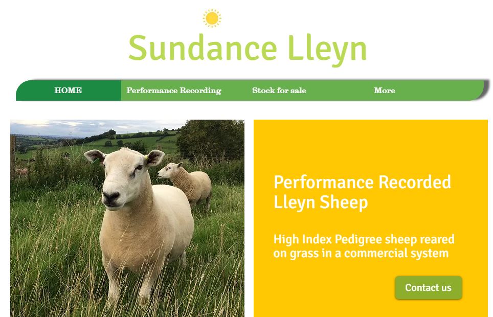 Lots of Signet clients revamping websites as online sales take on extra importance. Nice piece on breeding for #wormresistance on the Sundance #Lleyn page sundancelleyn.co.uk/worm-resistance