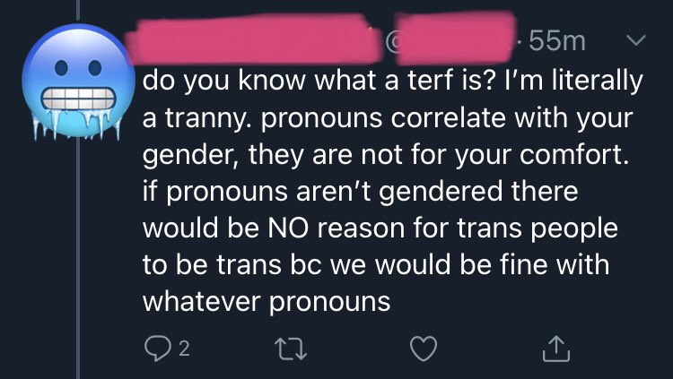 oof, what an ice cold take.arguments like this baffle me. are there trans people who only transition through their pronouns? yes, probably. is this the only thing that makes people dysphoric? hell nofor example i never had dysphoria around my pronouns but i changed them anyway