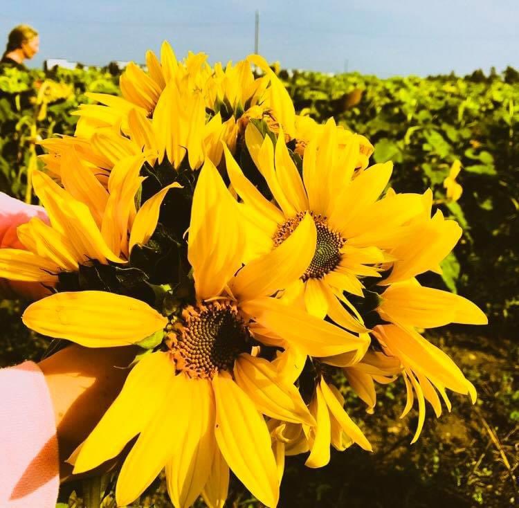 Oppimisen olohuone tukee aikuisen oppimisen haasteita. Tarjolla yksilöllistä, tarpeisiin perustuvaa, luottamuksellista, kannustavaa, huomioivaa, aitoa ja uusia keinoja avaavaa oppimisen tukea. Tänään webinaarissa tärkeän aiheen äärellä @eoliitto <a href="/taitotalofi/">Taitotalo</a>
