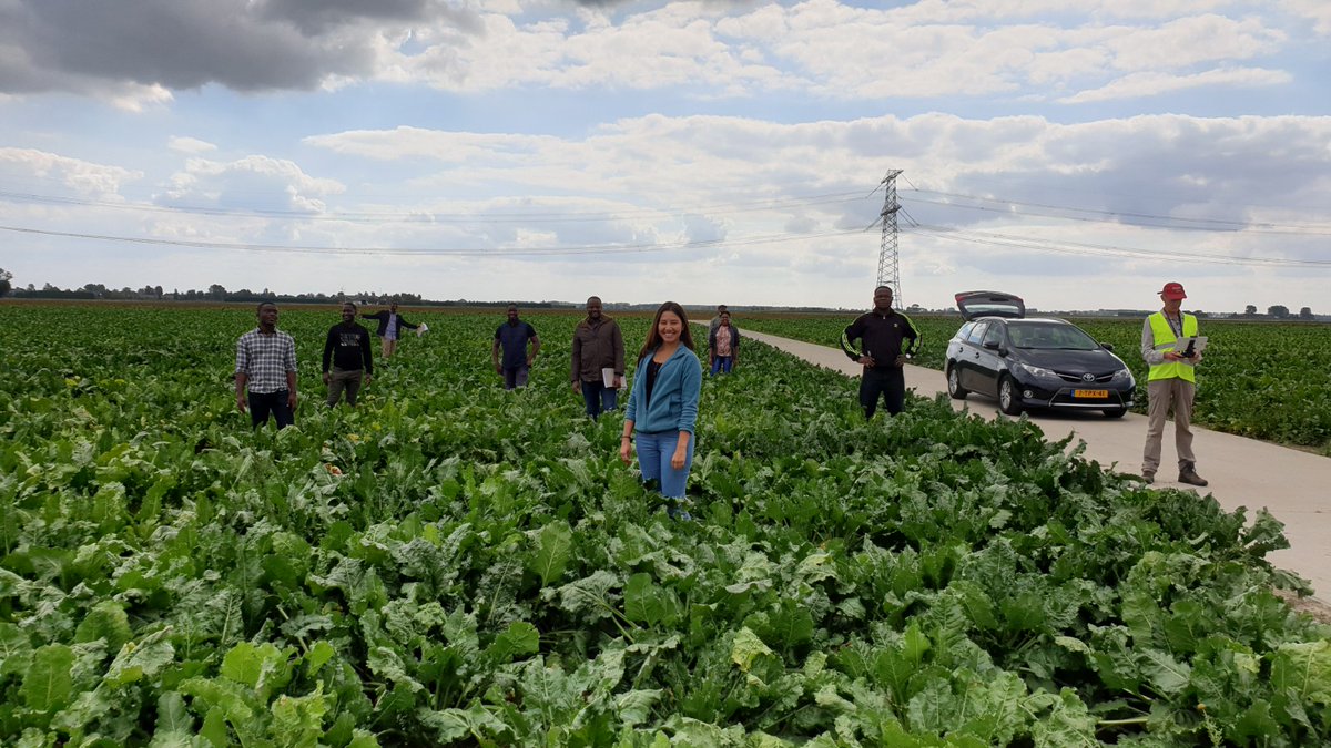 HiViewNL's tweet photo. Last week's lectures @ihedelft (Univ for Water Education from UN). Martijn de Klerk @FutureWaterNL and @HiViewNL conducting lectures on #drones imagery processing and flight demos. Extra: @landbouwbedrijfSchipper in #DeHoekscheWaard, showed us the machinery and stores. https://t.co/DOTJORC7dC