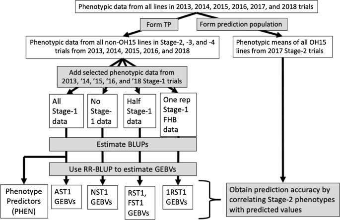 TheorApplGenet's tweet photo. The value of early-stage phenotyping for wheat breeding in the age of genomic selection: https://t.co/RC4VfT5agL https://t.co/XTBRoNjgzX