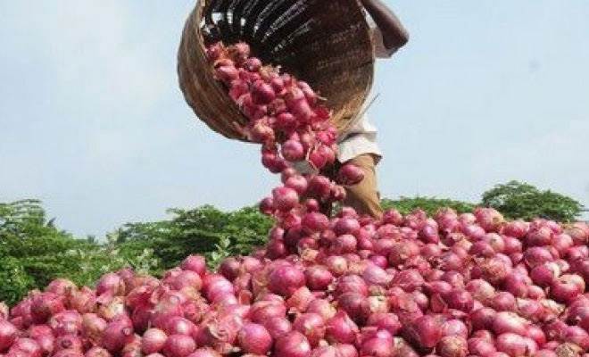 सरकार ने प्याज के निर्यात पर तत्काल प्रभाव से लगाई रोक - bharatkhabar.com/government-ban… -#BanOnionExport #CentralGoverment #DGFT #Onion #OnionPriceInIndia