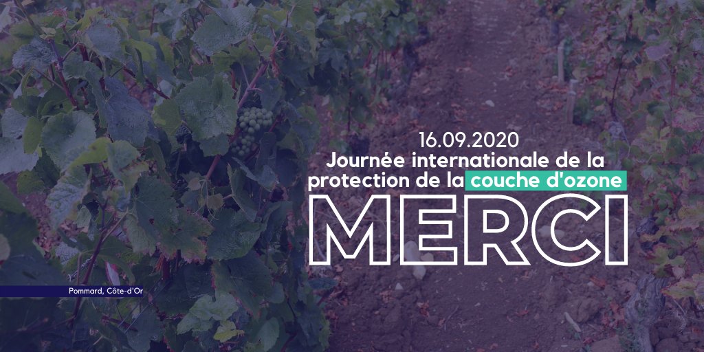 Sauvadet's tweet photo. À l'occasion de la Journée Internationale de la protection de la #couchedOzone, je veux saluer tous les acteurs de la protection de l'#environnement qui oeuvrent en Côte-d'Or et dans le monde pour préserver notre planète. https://t.co/t6JKhfjSKx