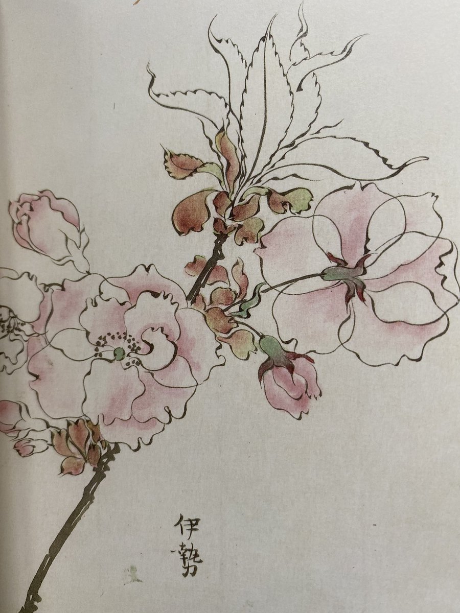 柴田是真の「桜華百色」見てるのですが桜の種類の多さと描き分けの細かさにちょっとひきます。ヤバない? 