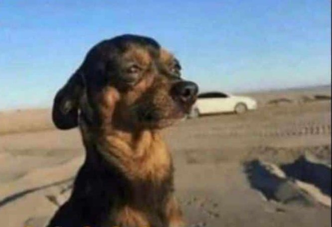 Hamza__UG's tweet photo. Girls be like.Cythia have u snapped that one? Okay Kati kanefuule atabiliiko.... Onkubeyo ka unaware kamu.
👇👇👇👇👇 https://t.co/D1lvgbeZ7t