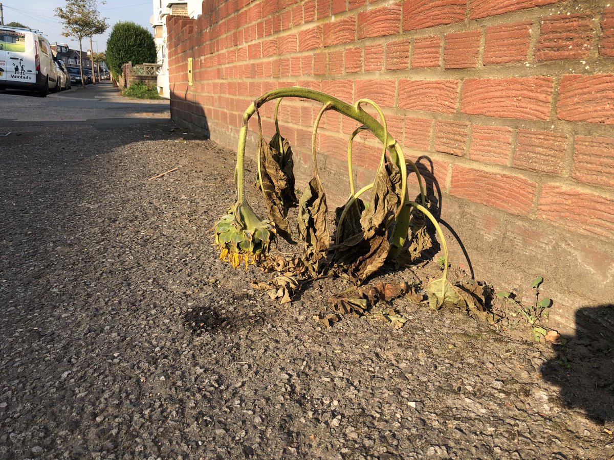 Poor guy...I’ve been there mate.