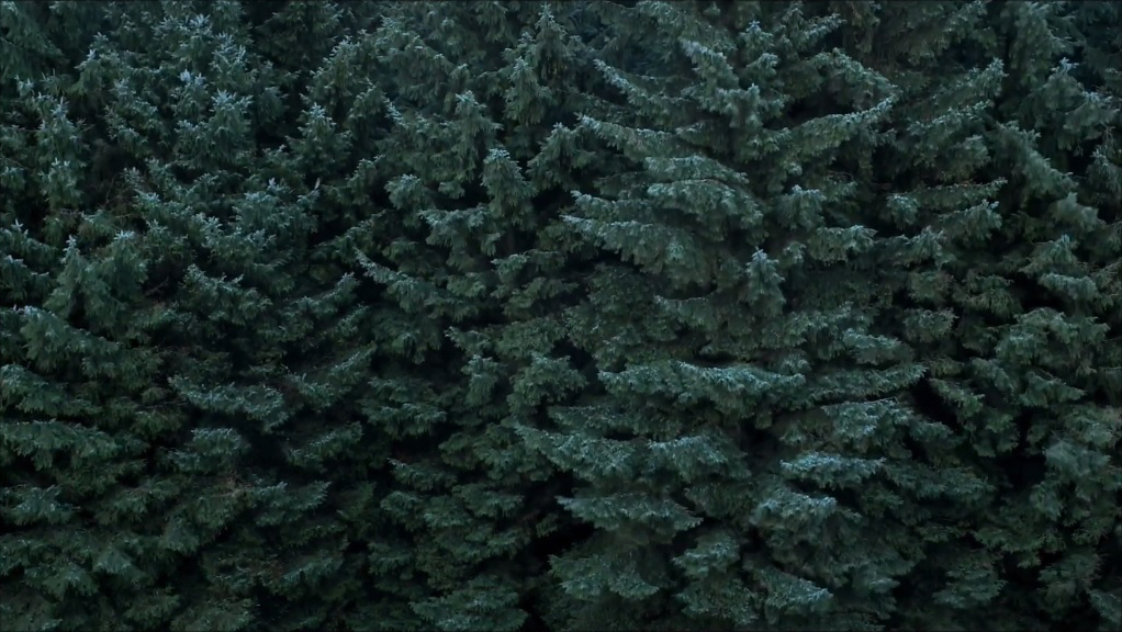 movingimage_art's tweet photo. In the latest MIA Journal, Al Brydon introduces his film ‘Pantha Puncha’, and tells the tale of a late night encounter with a shadowy creature: https://t.co/r4t5osRUrp
#MIAJournal #2 features articles by contemporary moving image artists who make work about nature & landscape. https://t.co/ekF1SpW5Az