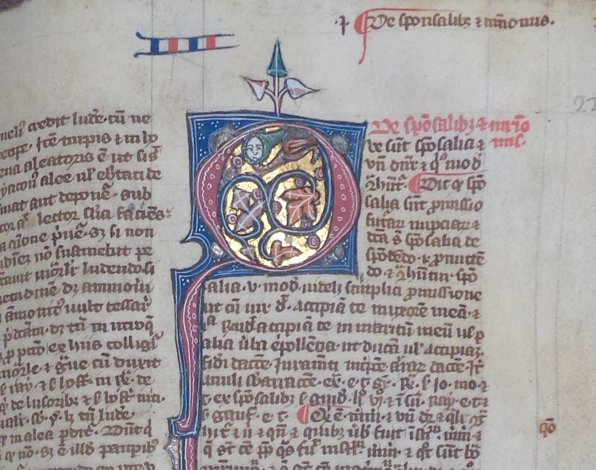 In the 14th Century a vicar Willliam de Pagula went to Oxford to study law. He wrote a textbook on Canon law and theology. This is from a later copy of the Summa Summarum (WCL F131 fol.224r).