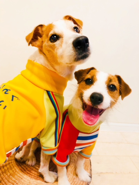 のんき屋じもん (@nonkiyajimon) / Posts / X