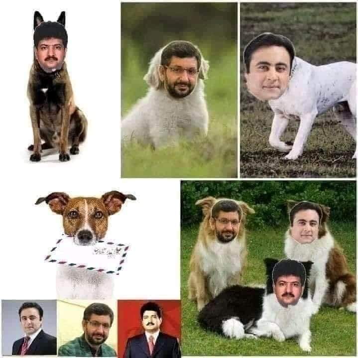 @Khawar Jarral tweet media