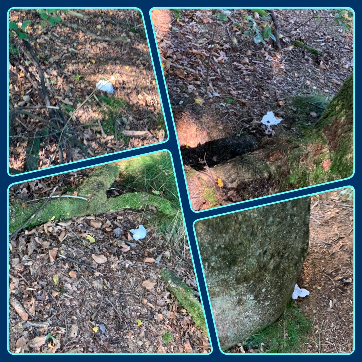 vila_p_q's tweet photo. 1 wandeling, 8 foto’s voor t idee, maar de voorbeelden zijn legio.... #droeftoeters. Ik wordt hier zo verdrietig van. Vervuil ons mooie bos niet zo..... ga thuis poepen....!!! #vies @Bosw8erMartijn kunnen we hier wat tegen doen? Dit is bij ons mooie hunebed #D26 https://t.co/L0AqktbAd6
