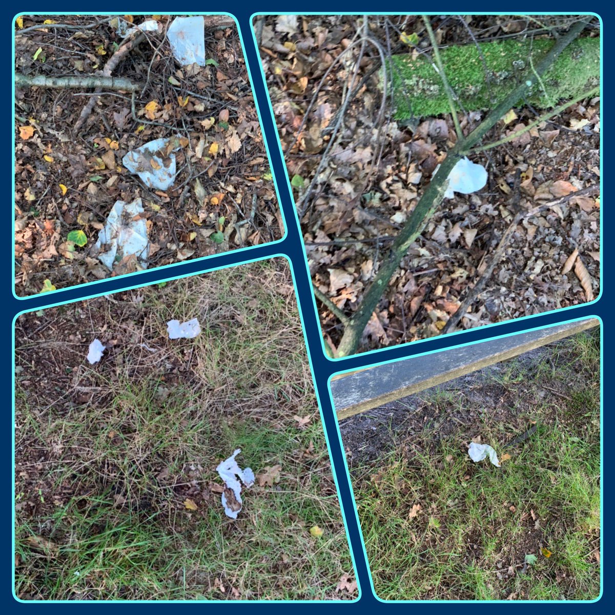 vila_p_q's tweet photo. 1 wandeling, 8 foto’s voor t idee, maar de voorbeelden zijn legio.... #droeftoeters. Ik wordt hier zo verdrietig van. Vervuil ons mooie bos niet zo..... ga thuis poepen....!!! #vies @Bosw8erMartijn kunnen we hier wat tegen doen? Dit is bij ons mooie hunebed #D26 https://t.co/L0AqktbAd6