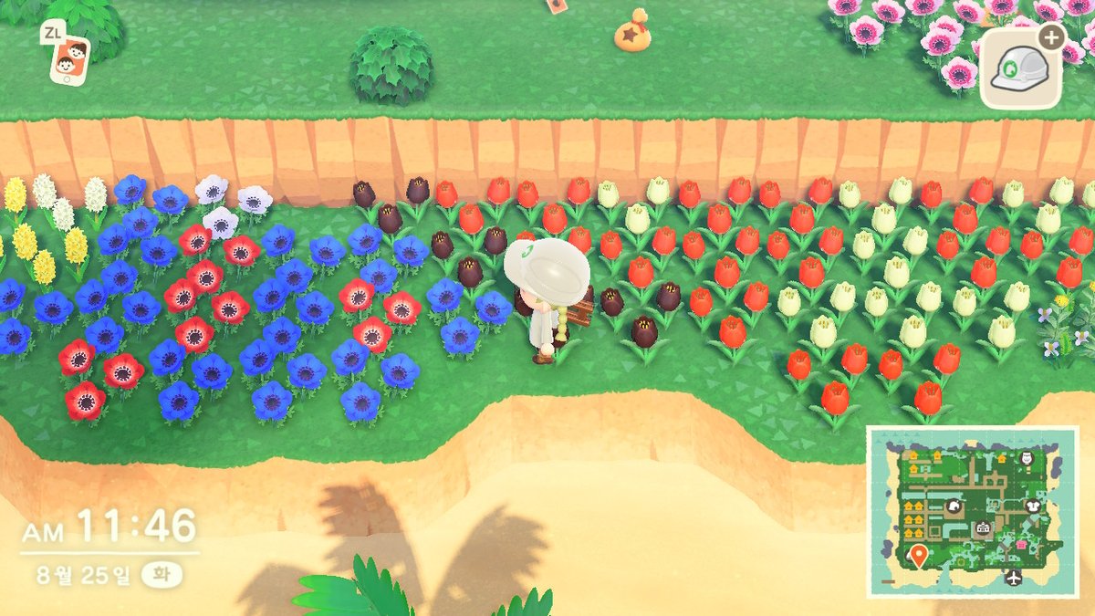 Pang_for_else's tweet photo. #동물의숲 #AnimalCrossing #ACNH #NintendoSwitch https://t.co/mFODgLQpbc