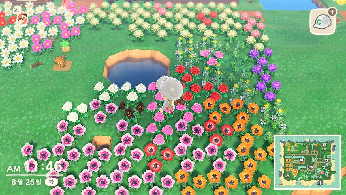 Pang_for_else's tweet photo. #동물의숲 #AnimalCrossing #ACNH #NintendoSwitch https://t.co/mFODgLQpbc