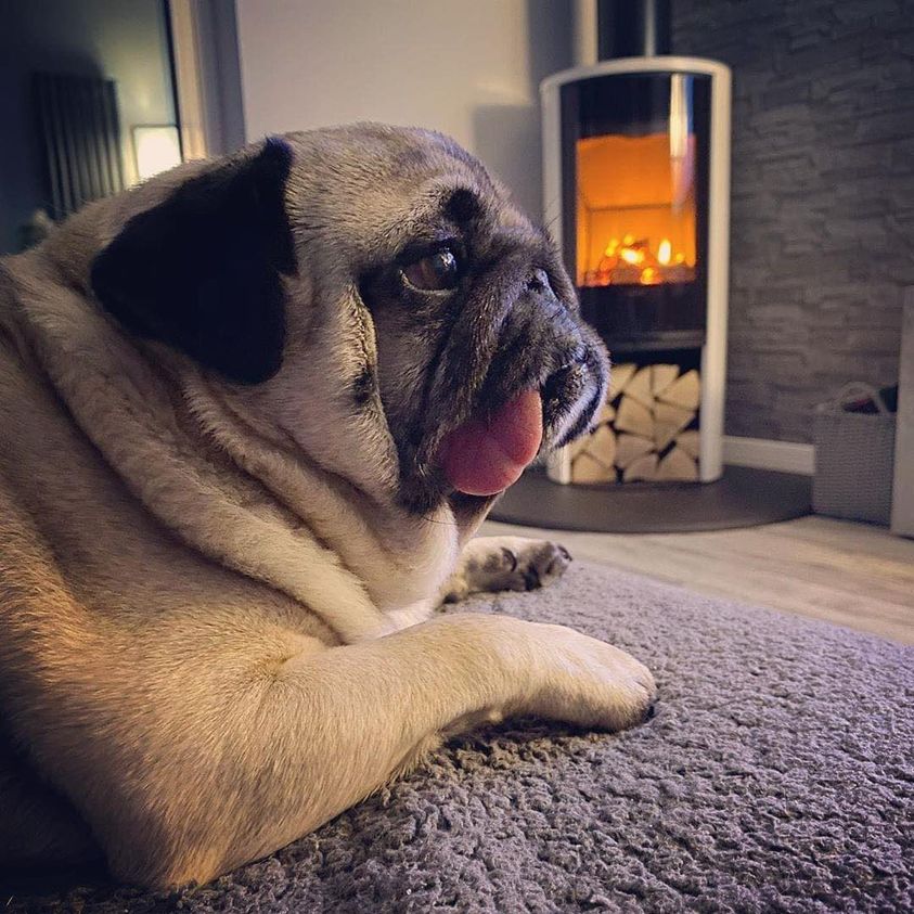 You might be warm without a Fire… but are you cosy?
dantonfireplaces.co.uk
#fires #stoves