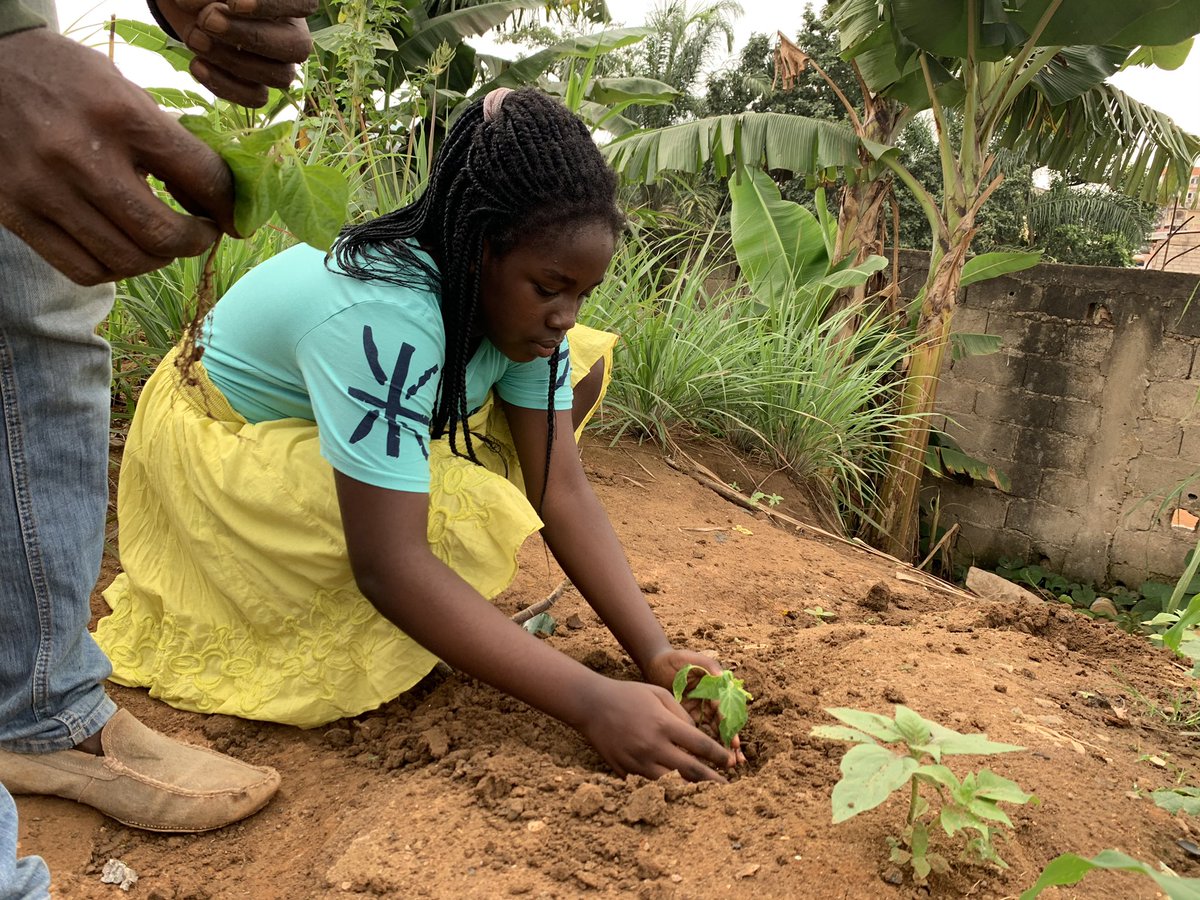 ebase_africa's tweet photo. #Plant2Remember #COVID19 we are working with children to plant trees as #schools reopen in #Cameroon. These #trees will recall the devastation of the #pandemic @tangem2009 @UNEP @EnvEvidence @EducEndowFoundn @theGCF @gchallenges @auggwi @okwen @nealhaddaway @CEDILProgramme https://t.co/UzxB1WZOAC