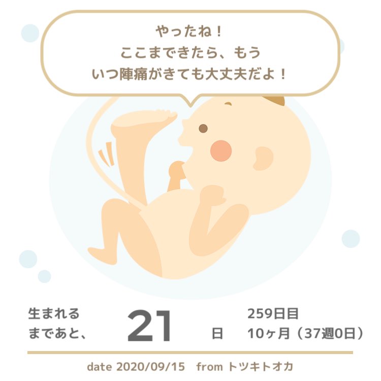 妊娠３７週 Twitter Search Twitter