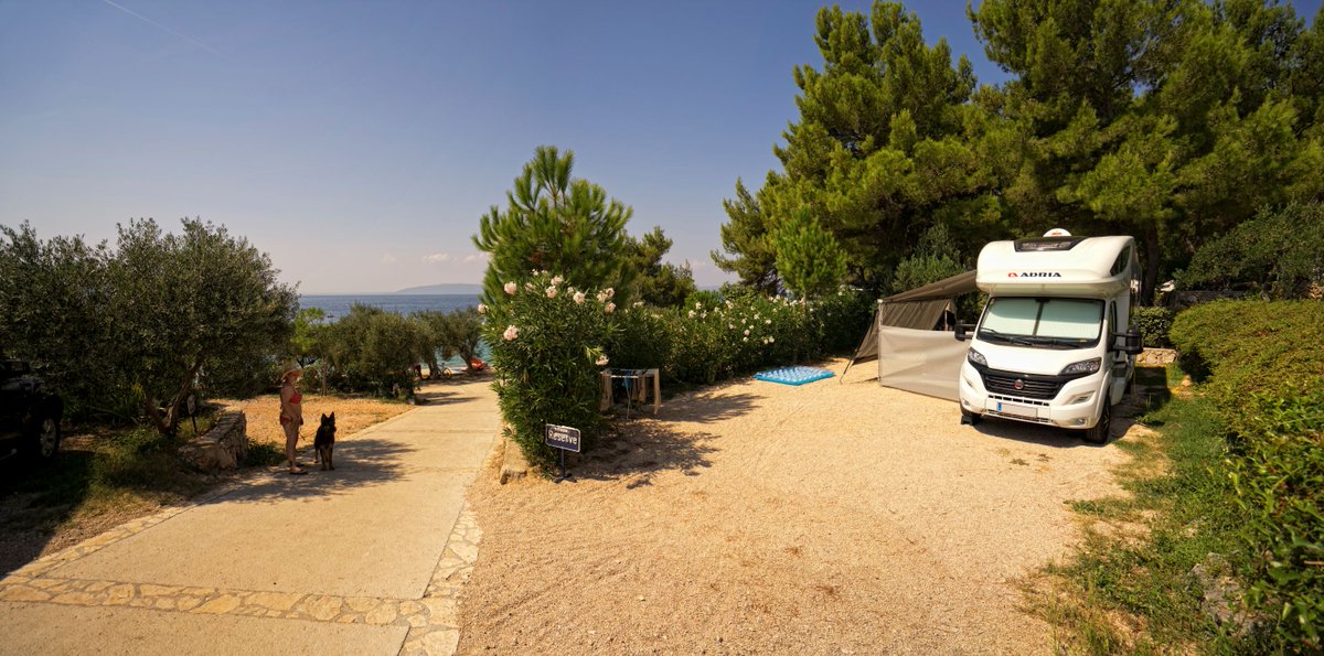 campkovacine's tweet photo. Very last but very delightful days of summer 2020! ☀️💙👙🕶🌞
#campKovacine #campingKovacine #Kovacinecamping #campingonCres #campinginCroatia #bestcamping #topcamping #Cres #visitCres #loveCres #visitKvarner #Croatia #Croatiafulloflife https://t.co/YrXNi5neuz