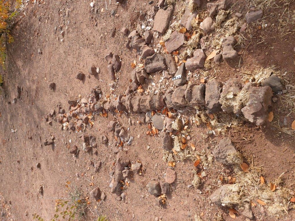 Millions of years ago dinosaurs roamed the Kruger National Park. A  fossilized skeleton of 9.3 metres long and 4.4 metres tall Euskelosaurus is  found along the Nyalaland trail in the park. #HeritageMonth, image size:1024x768