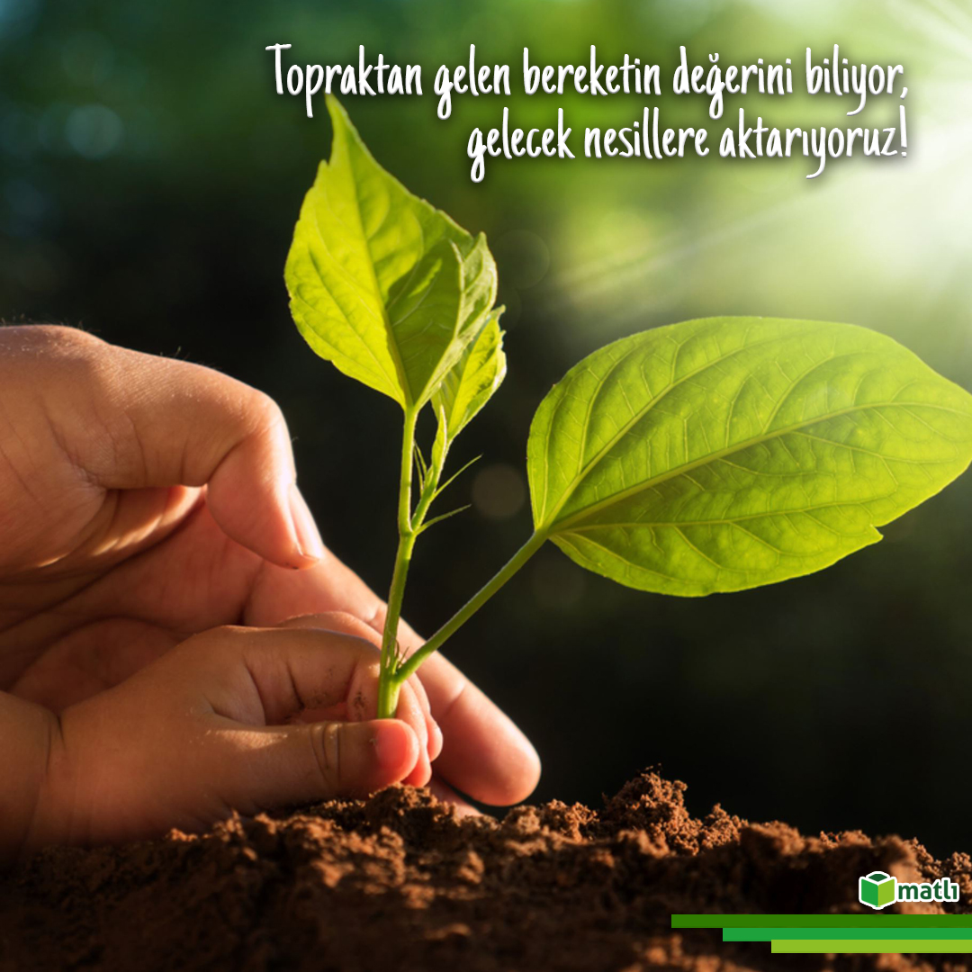 Matlı Şirketler Grubu tweet media