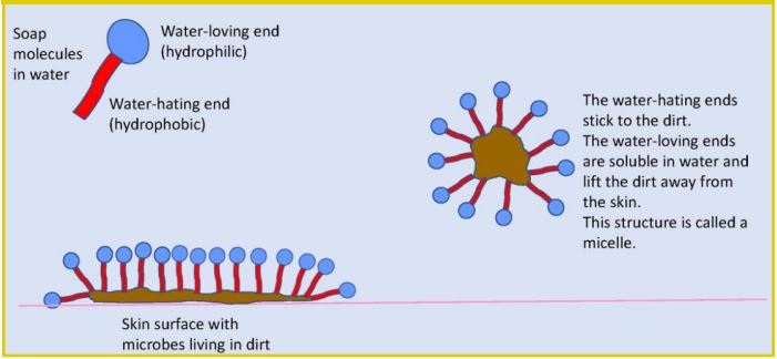 Primary Science Teaching Trust tweet media