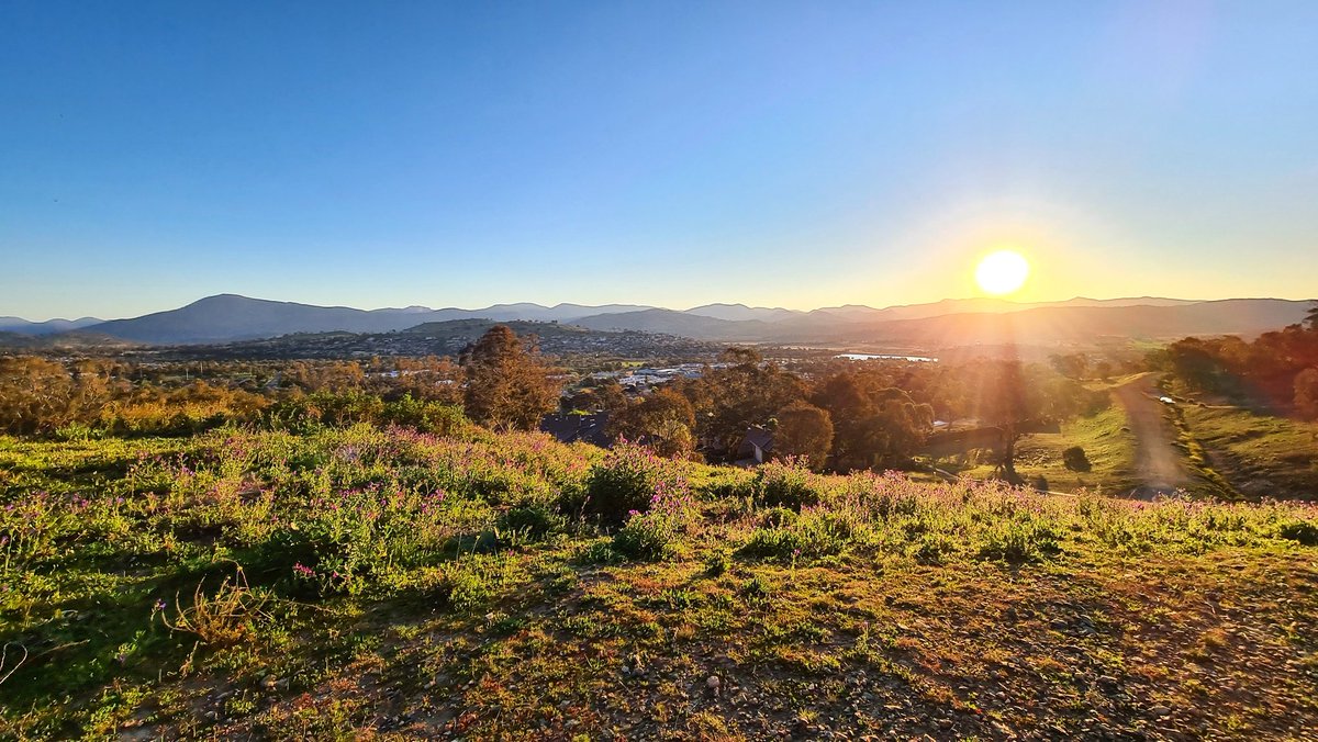 scottyimhoff's tweet photo. Spring has arrived in #Canberra 😎🌻 Some photos taken on my walk around #Tuggeranong Hill this afternoon ⛰😊👌

@visitcanberra @canberratimes @abccanberra #sunset #cbr #australia #springtime https://t.co/YpUDwGy8UK