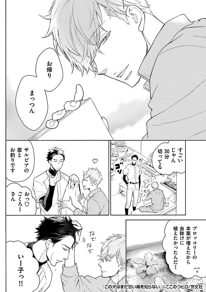 野球部は彼には逆らえない?
故障しエースから降りた俺は
ケガが治るまで「犬」になる?⁉
『この犬はまだ甘い毒を知らない』1/3
https://t.co/ttJpvjiY9I
続きます↓