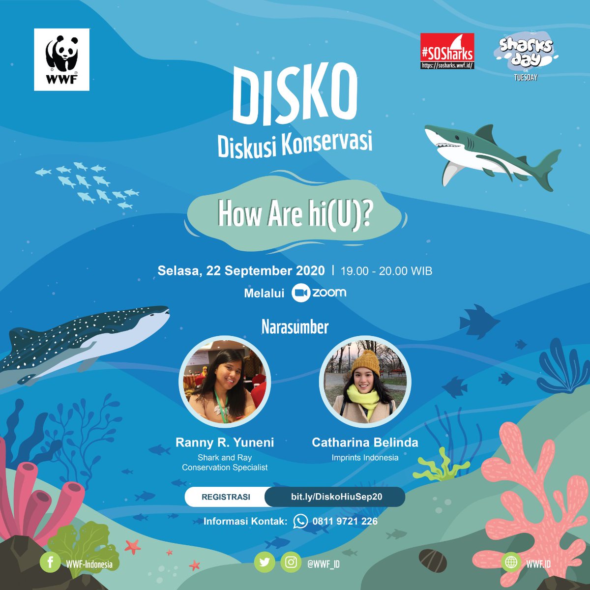 WWF_ID's tweet photo. Yuk ikuti Diskusi Konservasi (Disko) WWF-Indonesia untuk mengetahui kondisi hiu terkini pada Selasa, 22 September 2020 pukul 19.00-20.00 WIB. Disko dilakukan secara virtual melalui Zoom Webinar.
#Connect2Sharks #Connect2Earth #NatureMatters #TogetherPossible https://t.co/LkgikTTMER
