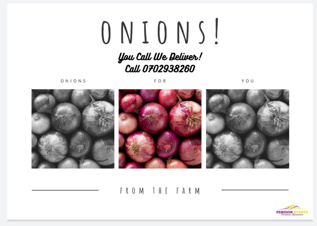 EventsPerigon's tweet image. FRESH Farm Onions.                                 
Price list 60ksh per kg Onions, 
Wholesale orders at 45ksh per kg of Onions,
Happy shopping ☺️                         
📞 (0702938260)