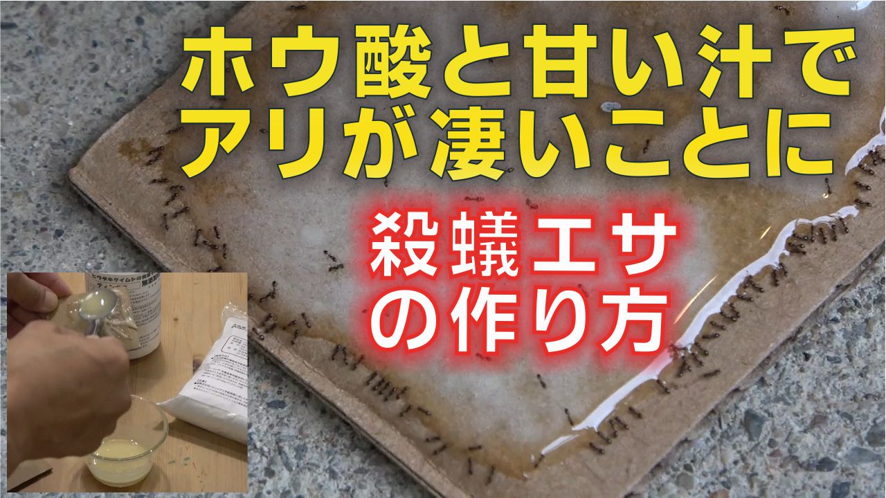 ホウ酸 Twitter Search Twitter