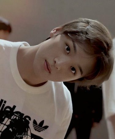 [ HAECHAN ]— hyuck's that boyfriend that's adored by your relatives, may it be child or adult. he'd always liven up the mood and would always tease you from time to time. despite that, he'd never fail to put all his attention on you and shout how much he loves you when tipsy