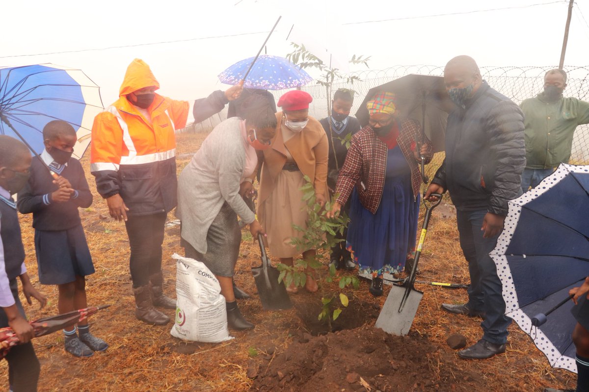 MandeniLM's tweet photo. ARBOUR WEEK PROGRAMME LAUNCHED AT NGULULE PRIMARY || Mandeni Local Municipality held the launch of the 2020 Arbour Week Programme at Ngulule Primary School, Ward 8. This programme will run until the 18th of September, 18 schools from each of the 18 wards will receive trees. https://t.co/rMpED8Ponr