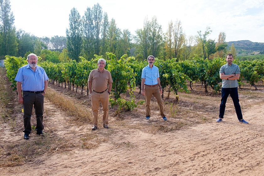 Instituto de Ciencias de la Vid y del Vino (ICVV) tweet media