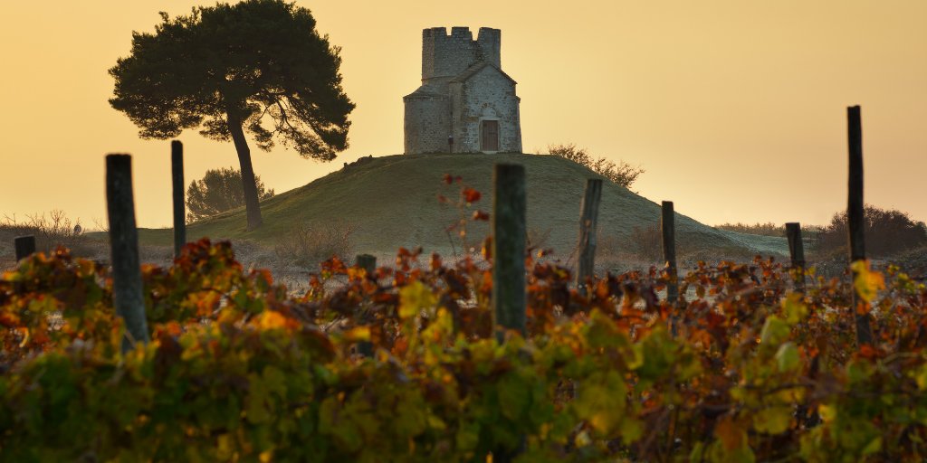 The beaches may be losing the crowds, but incoming autumn does not drive away positive ambiance in the #Zadar_Region 🍂

Autumn in #zadar_region is for the beautiful landscape and ripe vitamin-rich grapes 🍇
#visit_nin