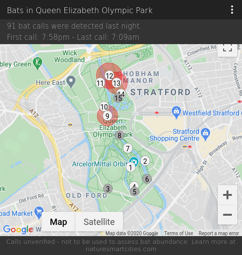 91 bat calls were detected last night, 14-09-2020.