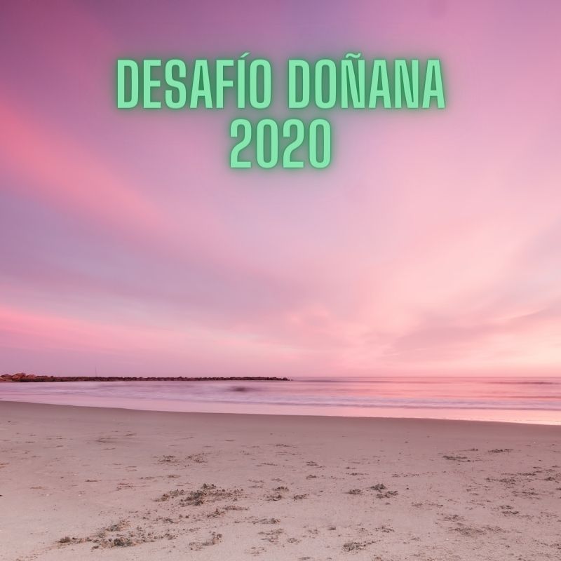 desafiodonana's tweet photo. 🚵‍♀️🏊🏃‍♀️¡Los deportistas ya han empezado el #DesafíoDoñana! Desde la organización queremos transmitiros nuestro agradecimiento por vuestra participación. ¡Déjales un comentario para que puedan sentir el calor del público virtual!
📣📣📣Go, go, go!
#AndalucíaRegiónEuropeadelDeporte https://t.co/jRAXCrGV3I
