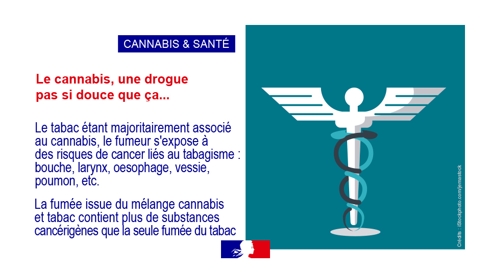 #Prévention

Chez les fumeurs de cannabis, le tabac est majoritairement associé, ils sont donc exposés aux risques liés aux 2 produits

+ d'infos et d'aide sur <a href="/DroguesInfo/">Drogues info service</a>