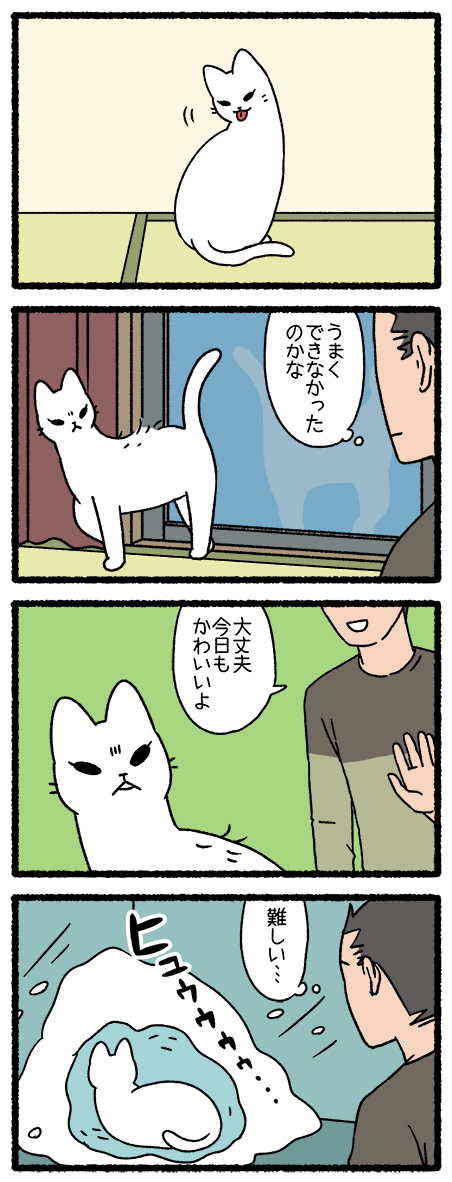 ねこようかい ゆきおんな
#ねこようかい 