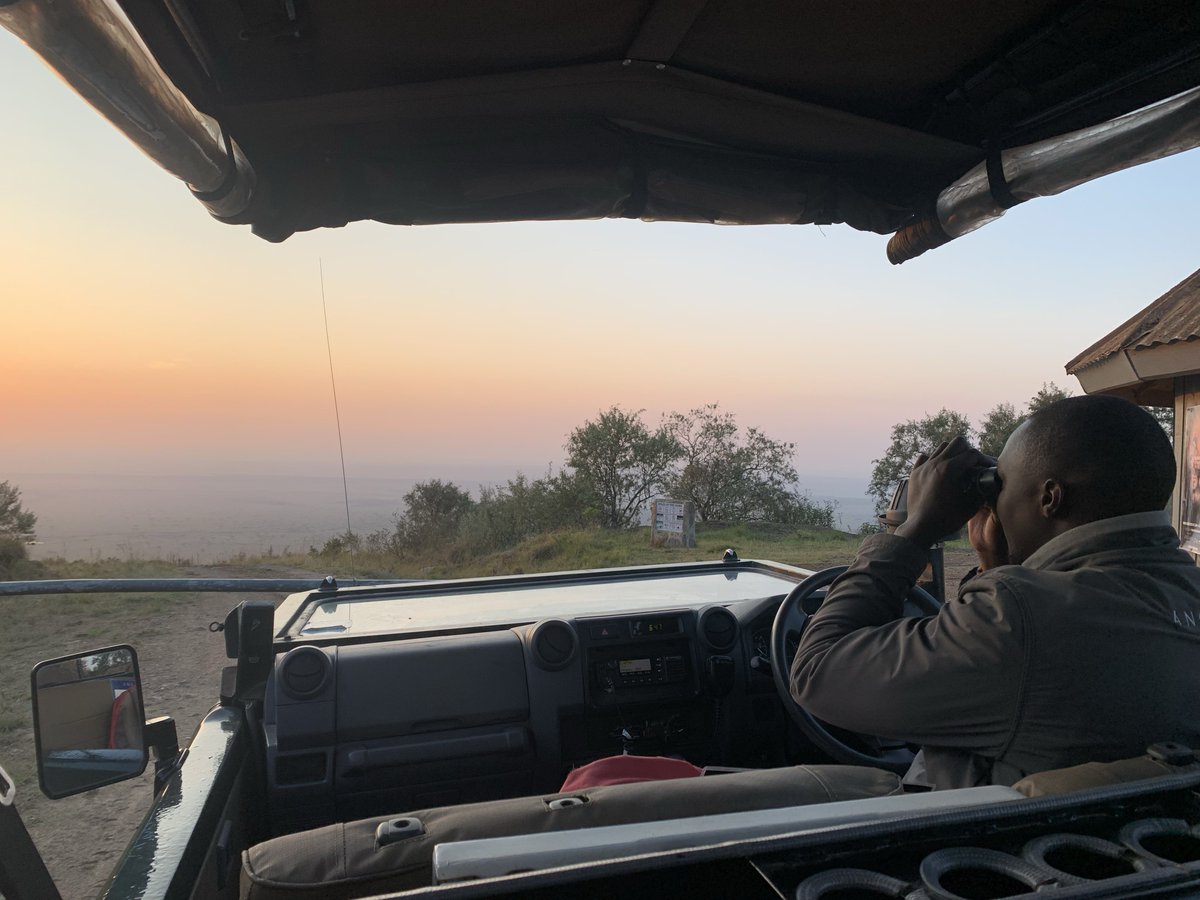 9. It& #39;s also TWIN Migration season. Wildebeest in the Maasai Mara and humpback whales on the coast. And again, no people around to see it10. Zero tourists, zero selfie sticks, zero influencers11. Most national park fees have been cut 50% to encourage tourism