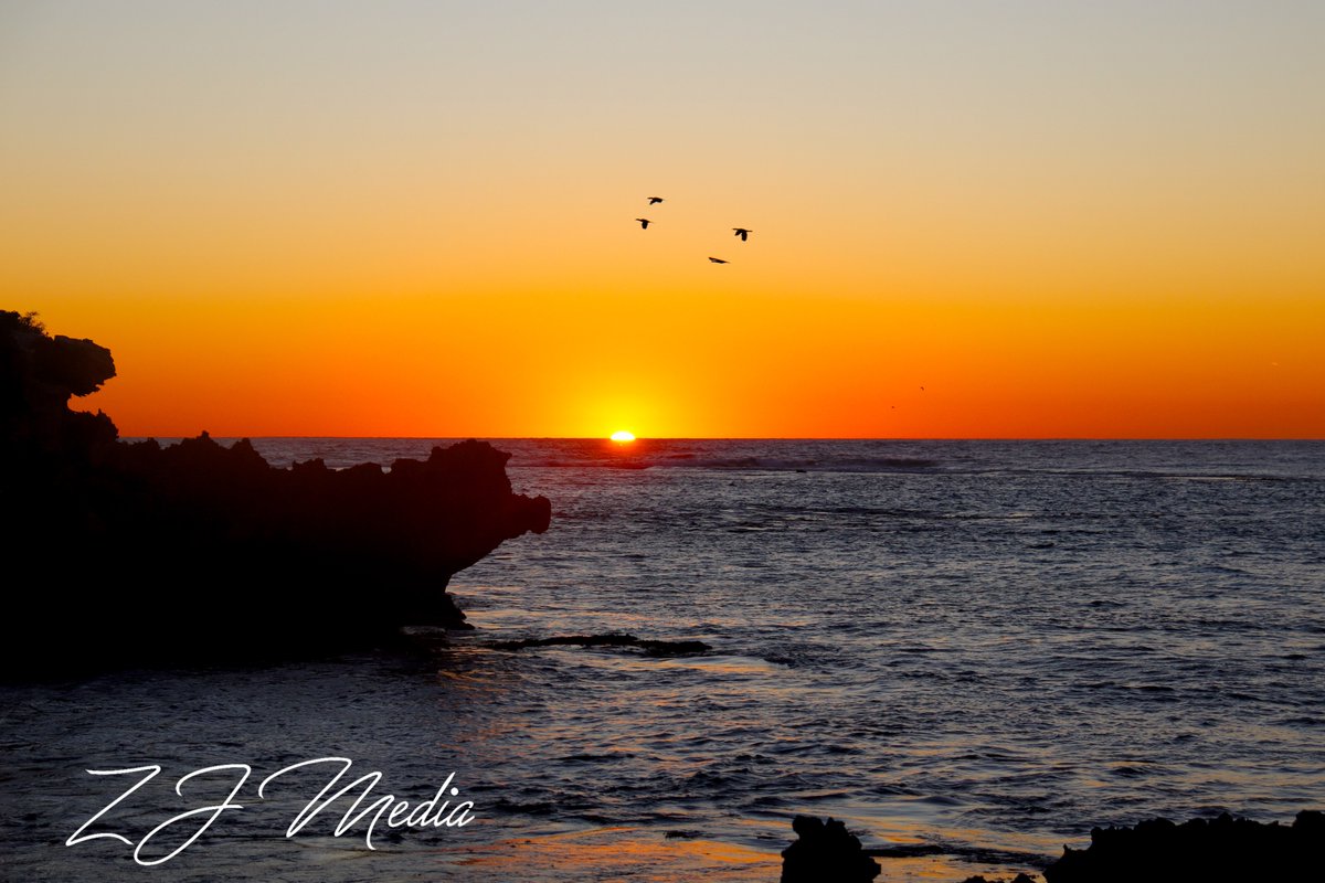 ZJ_Media's tweet photo. Super excited to announce that zjmedia will have a stock photo store coming soon to https://t.co/MPsVeOX48C!!! 
#stockphotos #photos #store #stock #ocean #plants #flowers #nature #beach #sunset #birds https://t.co/11I6evMYF4