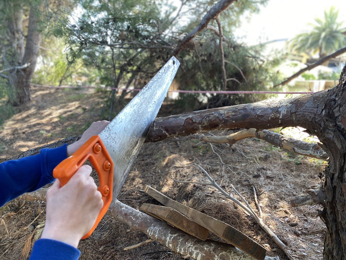 ProjReimaginate's tweet image. School Governing Council approved funding for our big 2020 transformations, now we work! 

We will create a “hideaway” space for younger students, dedicated garden beds, a Japanese garden, forest play EVERY break, &amp;amp; a “learning street” breakout space. 

#ProjectReimaginate