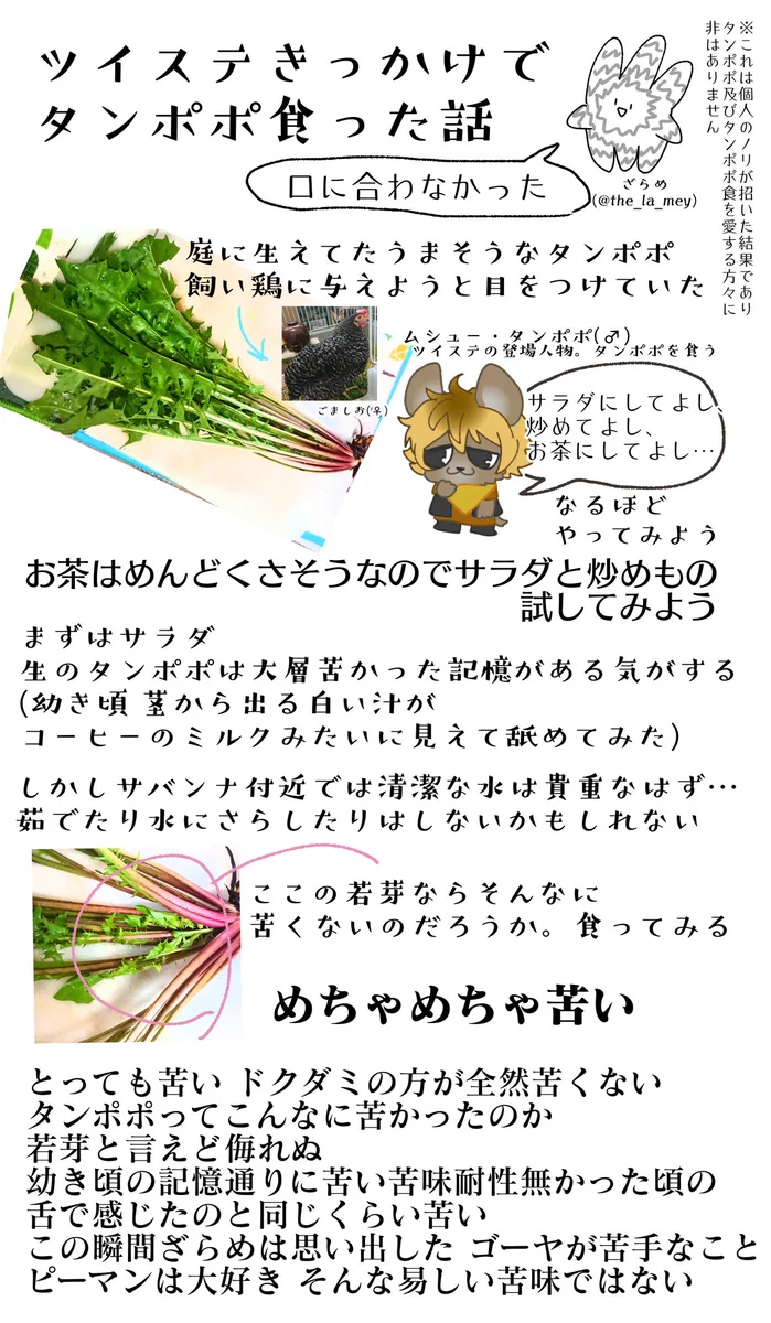 ツイステきっかけでタンポポを食べてみた結果？口に合わなかったｗｗ