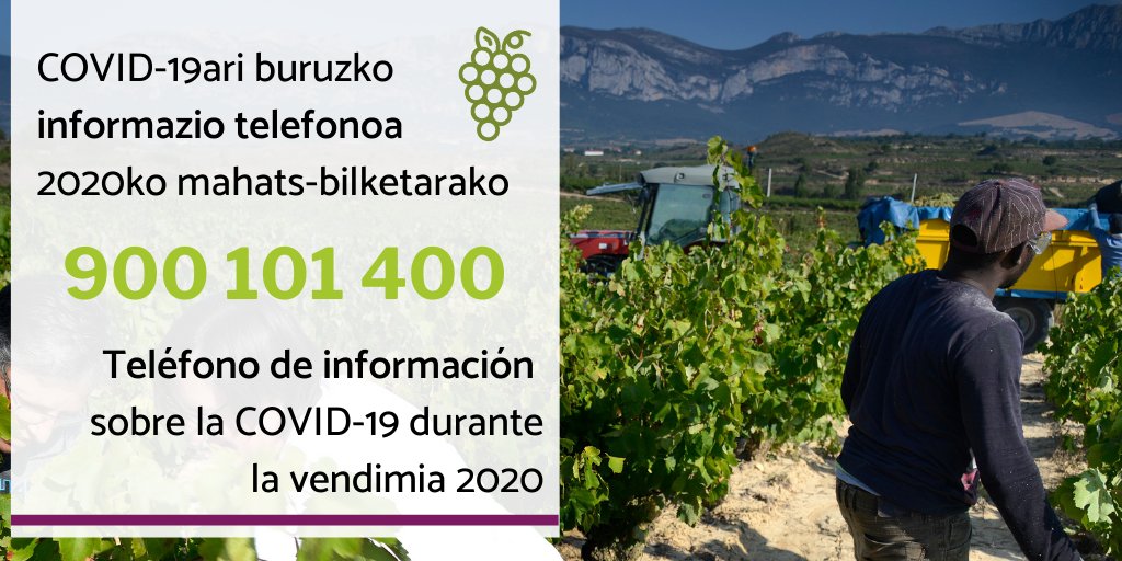 hazifundazioa's tweet photo. 🍇😷COVID-19aren prebentzioari buruzko informazio telefonoa 2020ko mahats-bilketarako #ARDOA #BasqueWineOffice ➡️ https://t.co/WUviyJsXSn
☎️ 900 101 400
🍇😷Teléfono de información sobre la #COVID19 durante
la vendimia 2020 #ARDOA #BasqueWineOffice ➡️ https://t.co/yI236hM8x8 https://t.co/vegP4FBTBJ