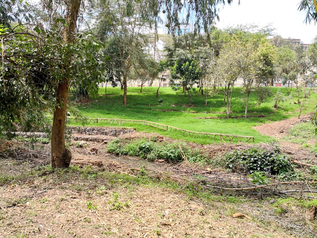 Environment_Ke's tweet photo. @Environment_Ke CS Keriako Tobiko will tomorrow lead the celebrations to mark International Day for the Preservation of the Ozone Layer at Michuki Memorial Park. The theme of the event is Ozone for Life ~ 35 Years of Ozone Layer  #OzoneDay2020 #MichukiMemorialPark #OzoneForLife https://t.co/xsHimyzDMs