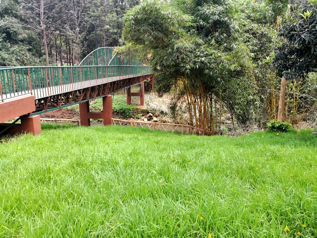Environment_Ke's tweet photo. @Environment_Ke CS Keriako Tobiko will tomorrow lead the celebrations to mark International Day for the Preservation of the Ozone Layer at Michuki Memorial Park. The theme of the event is Ozone for Life ~ 35 Years of Ozone Layer  #OzoneDay2020 #MichukiMemorialPark #OzoneForLife https://t.co/xsHimyzDMs