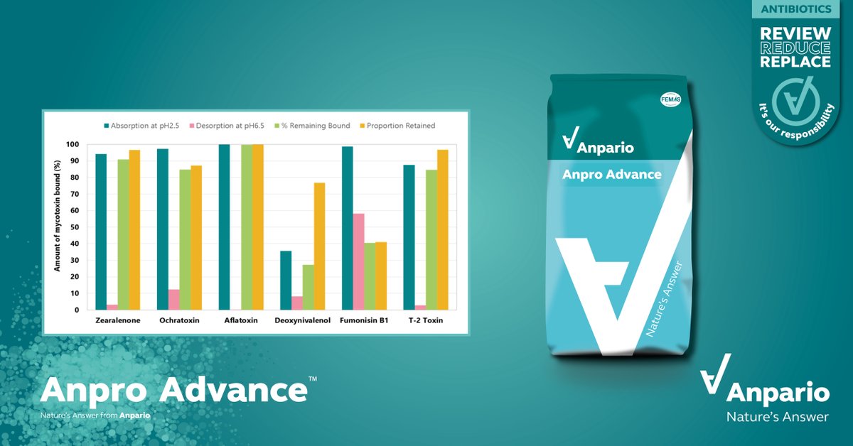 anparioplc's tweet photo. In a recent trial, Anpro Advance has been shown to be a highly effective mycotoxin management tool and has the ability to retain bound toxins at both pH 2.5 &amp; 6.5.

Read more: https://t.co/hjzBAupJIE

#NaturesAnswer #TeamDairy #SupportMilkYields https://t.co/V0Cl1Iu6TO