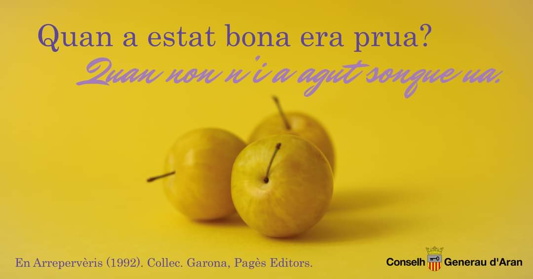 EnAranes's tweet photo. REPERVÈRI🗣 Ara qu'ei quan quèn es #prues e les cau anar a remassar. En aguest arrepervèri d'aué aprenem qu'era #escassetat des causes les da valor.
#enaranés #aranés #repervèri #arrepervèri #seteme #arrepervèrisenaranés #repervèrisaranesi #PublicacionsEnAranés https://t.co/O5yDNzJP9z