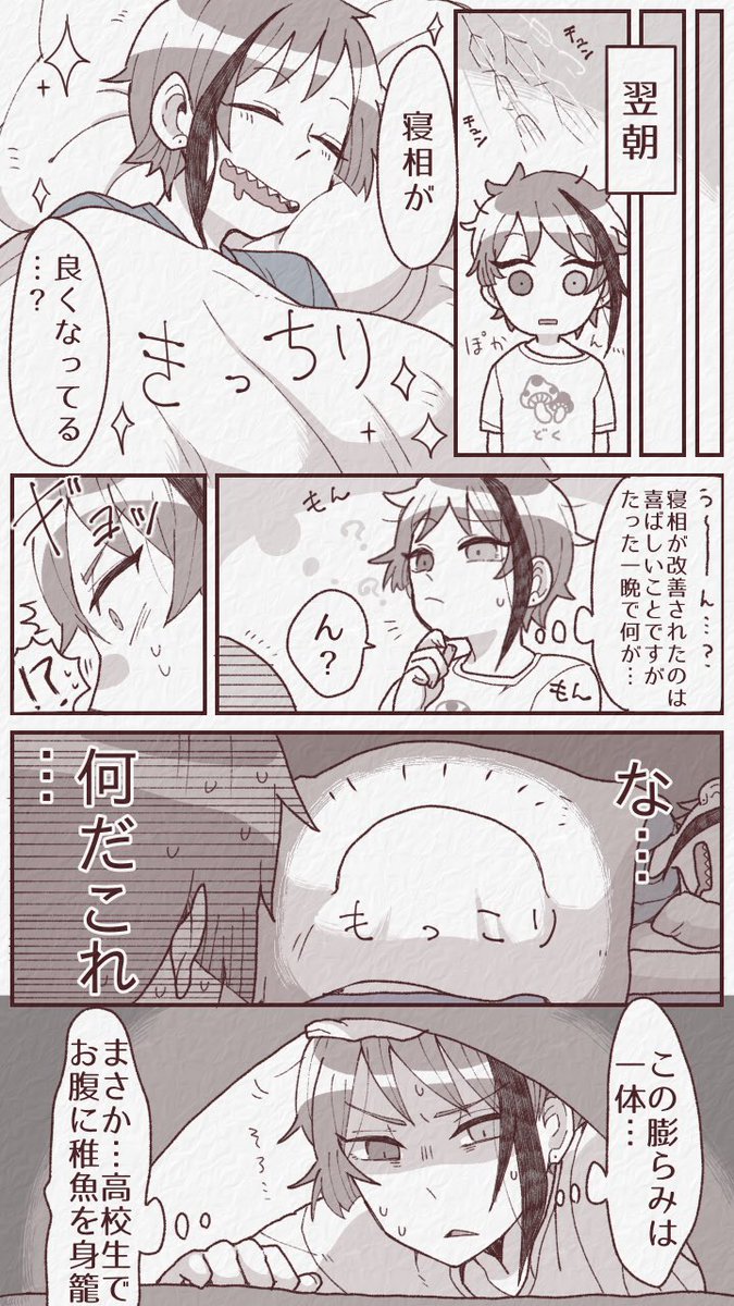 🦈の寝相が突然良くなった話 
